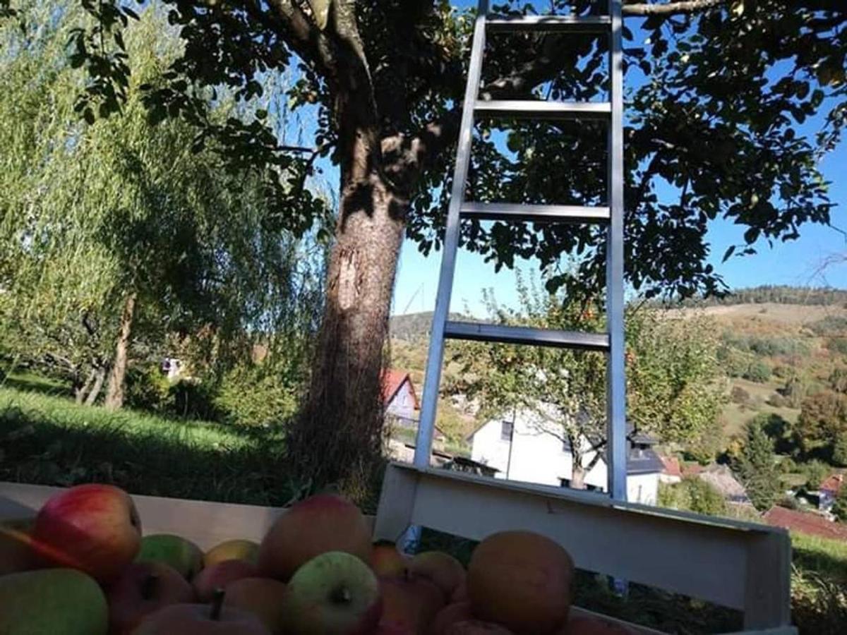 Les Locations De Stephanie ,Gite Le Verger Sondernach Exterior photo