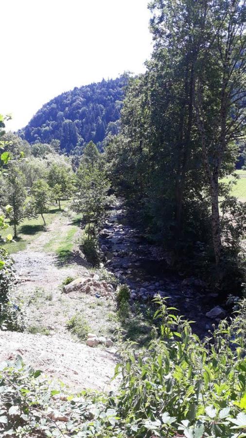 Les Locations De Stephanie ,Gite Le Verger Sondernach Exterior photo