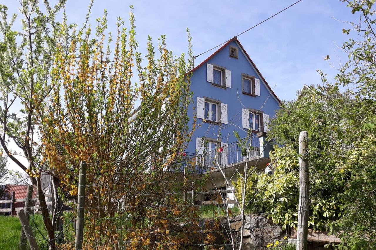 Les Locations De Stephanie ,Gite Le Verger Sondernach Exterior photo