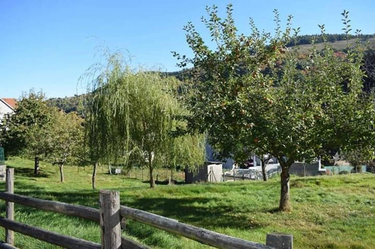 Les Locations De Stephanie ,Gite Le Verger Sondernach Exterior photo