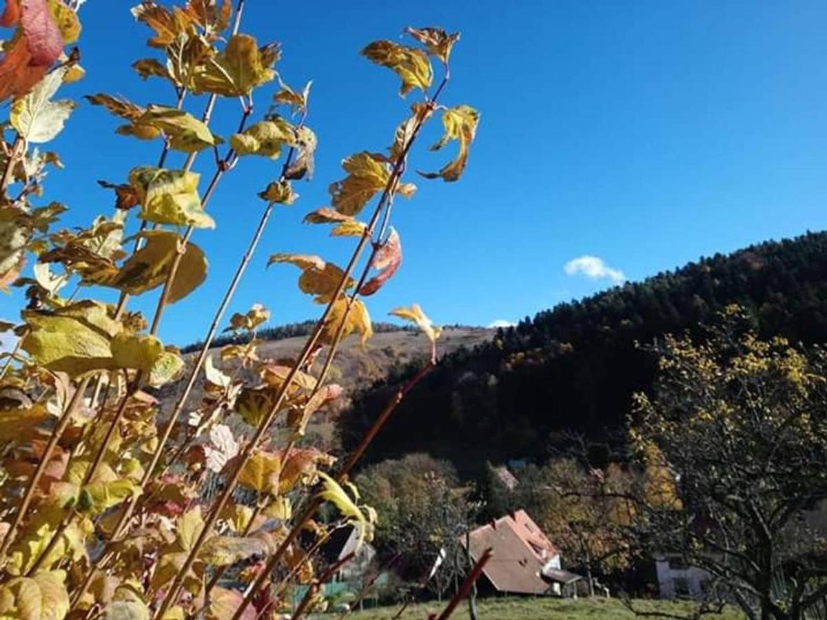 Les Locations De Stephanie ,Gite Le Verger Sondernach Exterior photo