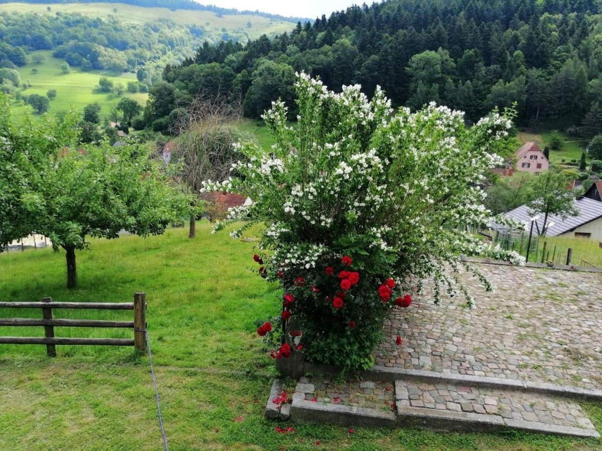Les Locations De Stephanie ,Gite Le Verger Sondernach Exterior photo