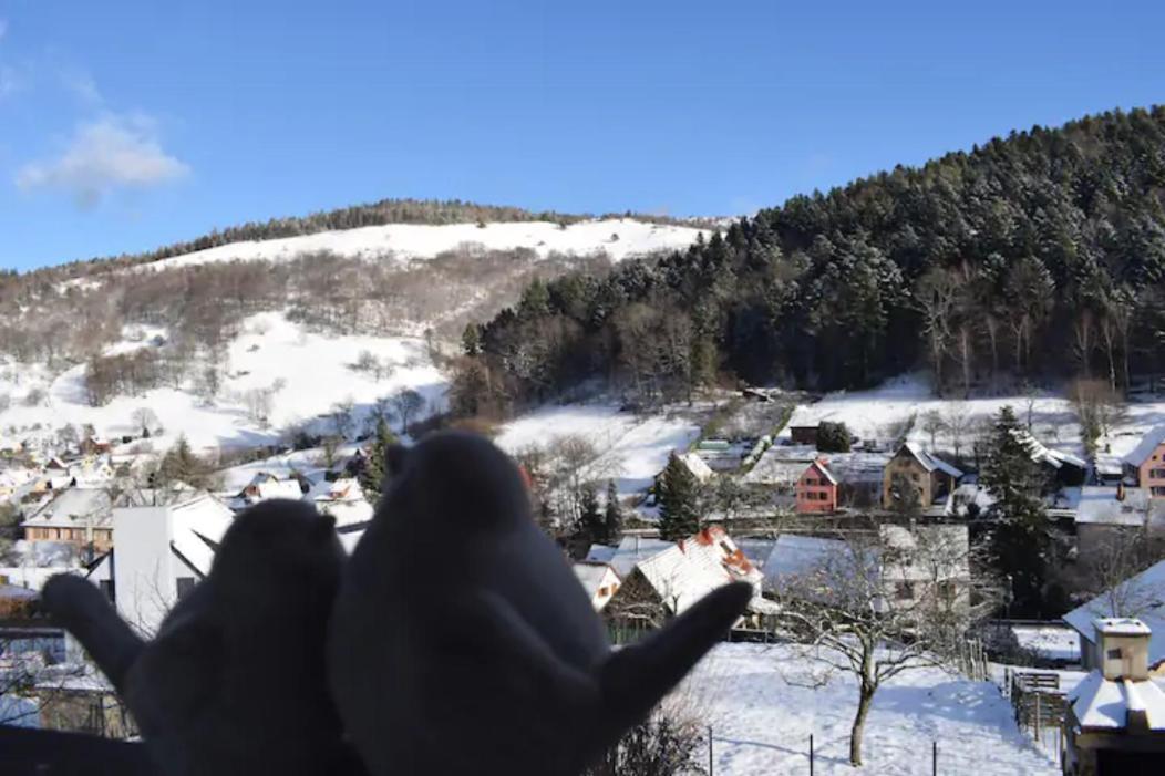 Les Locations De Stephanie ,Gite Le Verger Sondernach Exterior photo