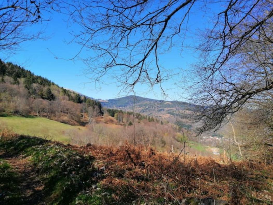 Les Locations De Stephanie ,Gite Le Verger Sondernach Exterior photo