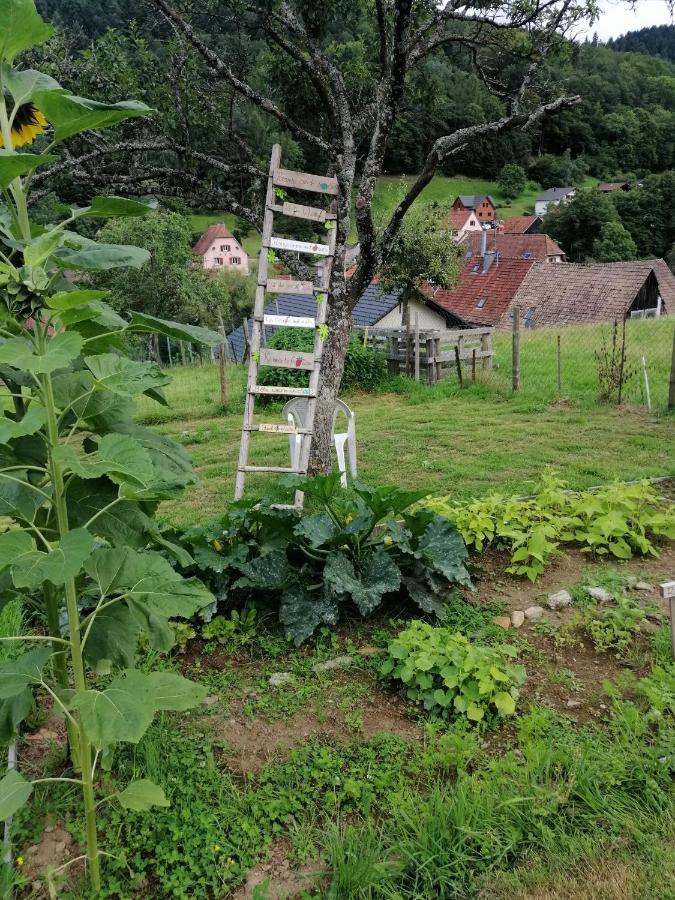Les Locations De Stephanie ,Gite Le Verger Sondernach Exterior photo