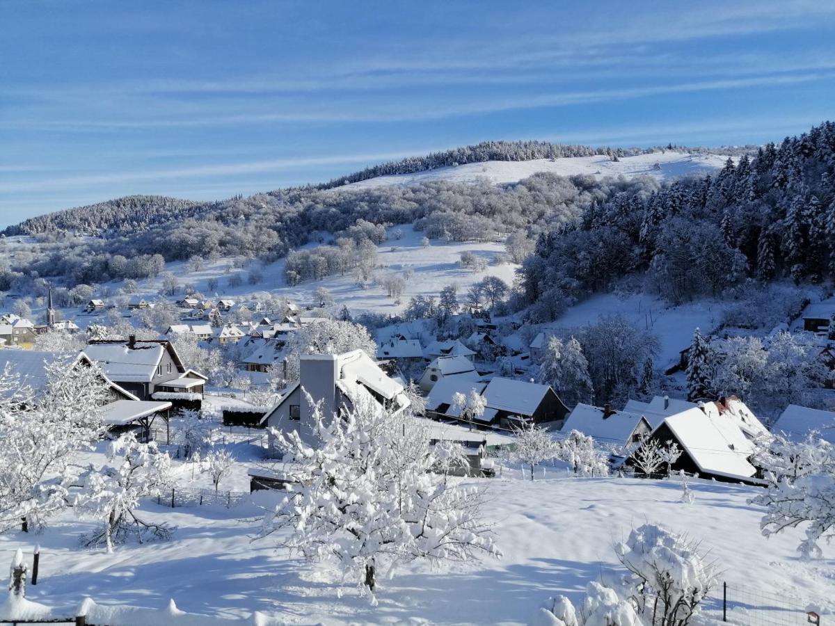 Les Locations De Stephanie ,Gite Le Verger Sondernach Exterior photo