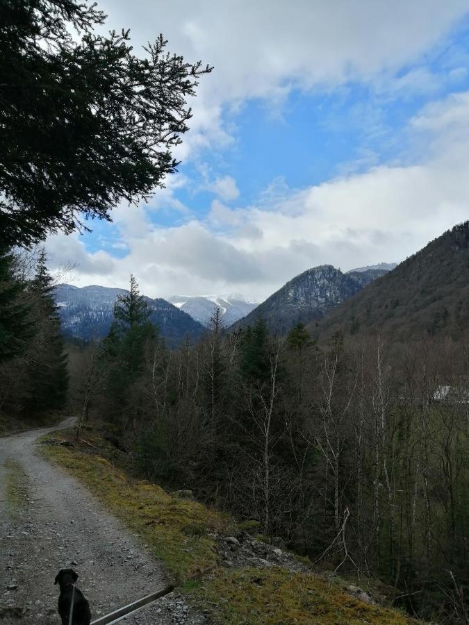Les Locations De Stephanie ,Gite Le Verger Sondernach Exterior photo
